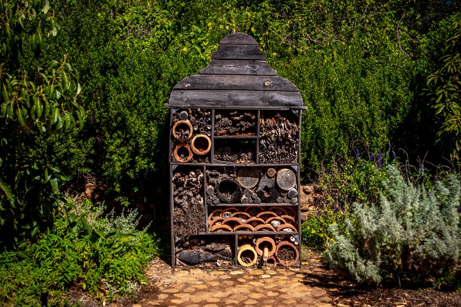 DIY insectenhotel maken — DIY insectenhotel maken: zo help je bijen en vlinders