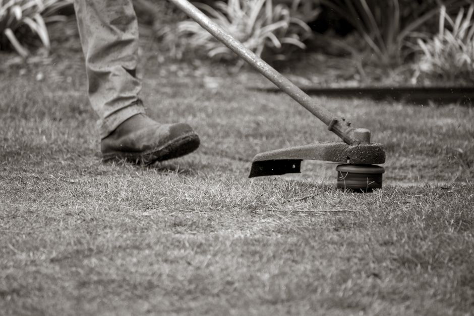grastrimmer